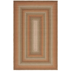 Braided Ivory Brown 4 ft. x 6 ft. Abstrract Border Area Rug