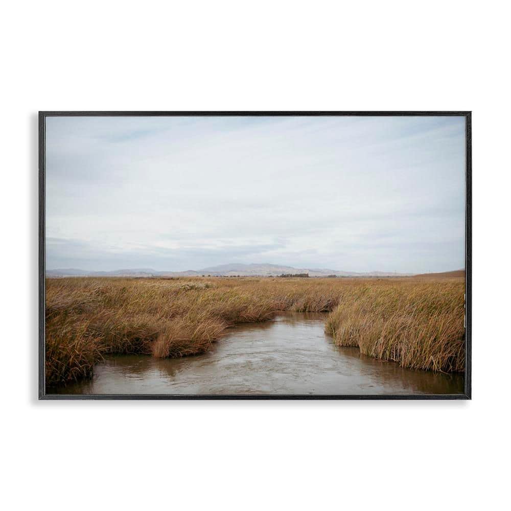 Marshland Stream View by Crystal Lynn Collins Black Framed Nature Giclee Art Print 20 in. x 30 in. price history on PriceWatchPro