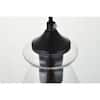 black-and-clear-pendant-lights-lvn4488black-fa.5