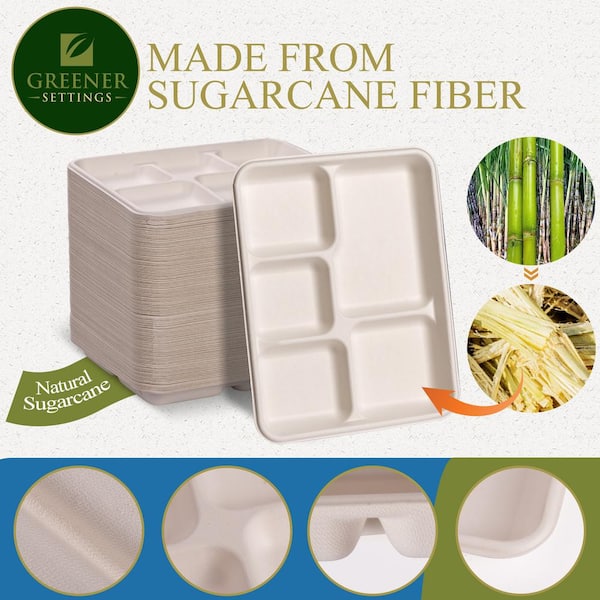 5 Compartment Compostable Sugarcane Pulp Fiber Disposable Tray (10 x 8 –  EcoQuality Store