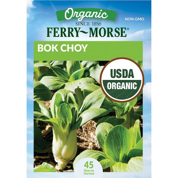Organic Bok Choy Vegetable Seed