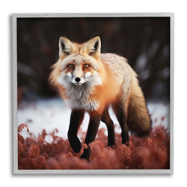 Stupell Industries Fox Cub in Nature by Lazar Studio 1-Piece Framed Graphic Print Animal Poster Art Print 12 in. x 12 in.