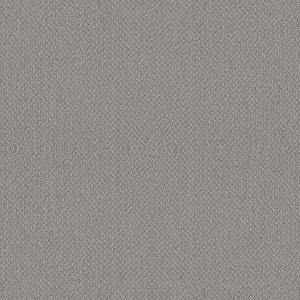 Tower Road - Drizzle - Gray 32.7 oz. SD Polyester Loop Installed Carpet