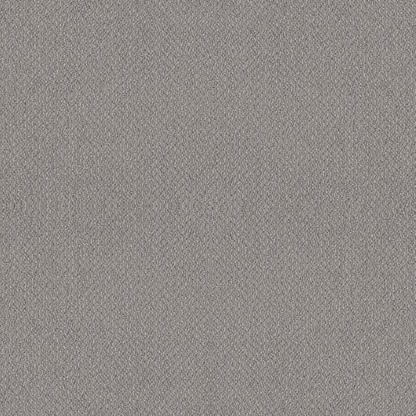 Home Decorators Collection Tower Road - Drizzle - Gray 32.7 oz. SD ...