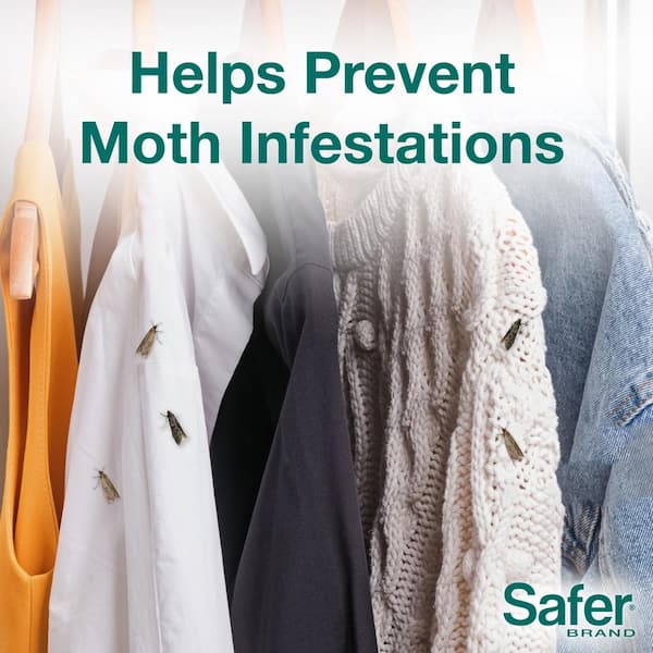Natural Indoor Clothes Moth Trap (8-Count)