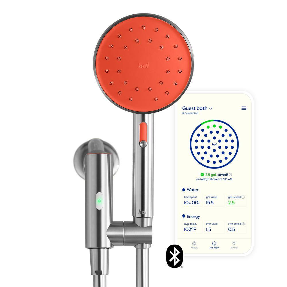 Citron Stainless Steel Bluetooth Handheld Showerhead with Mist
