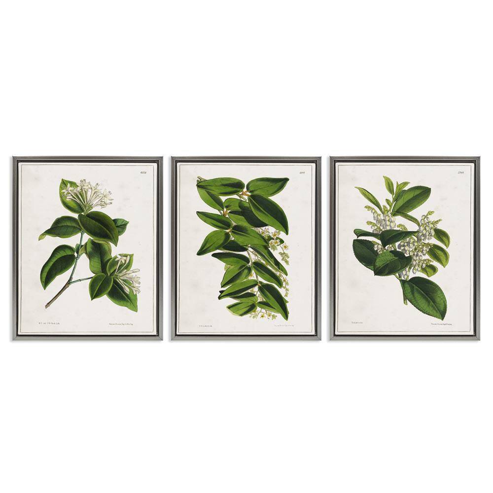 Forest Flower Studies by Tina Higgins Designs, Inc 3 Pieces Gray Floater Frame Nature Graphic Art Print 31 in. x 25 in.