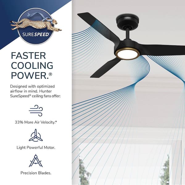 Hunter 44 inch Zentech Wi-Fi ENERGY STAR Matte Black Damp Rated