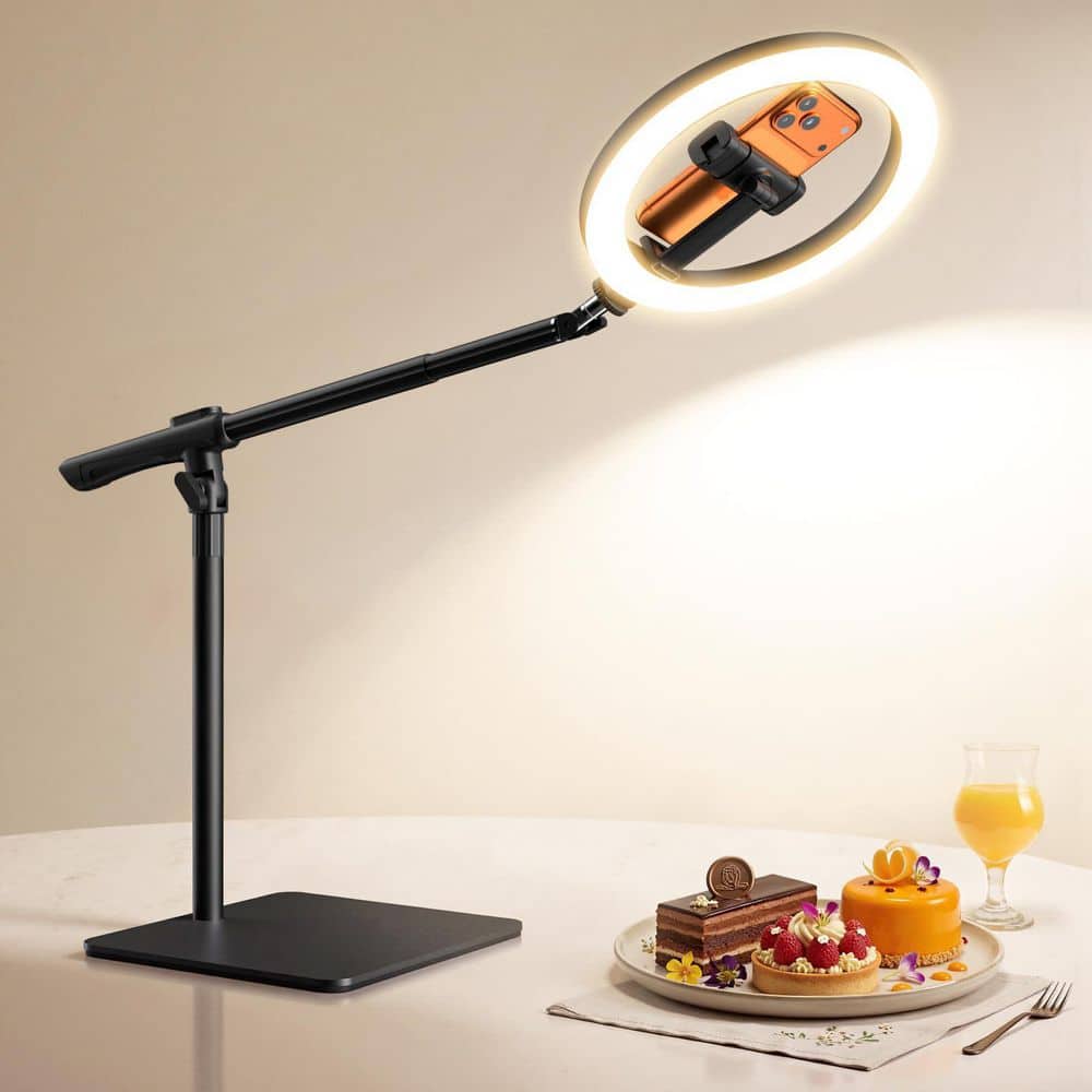 BeamBox 20 in. Black Gooseneck LED Desk Lamp with Adjustable 10 in