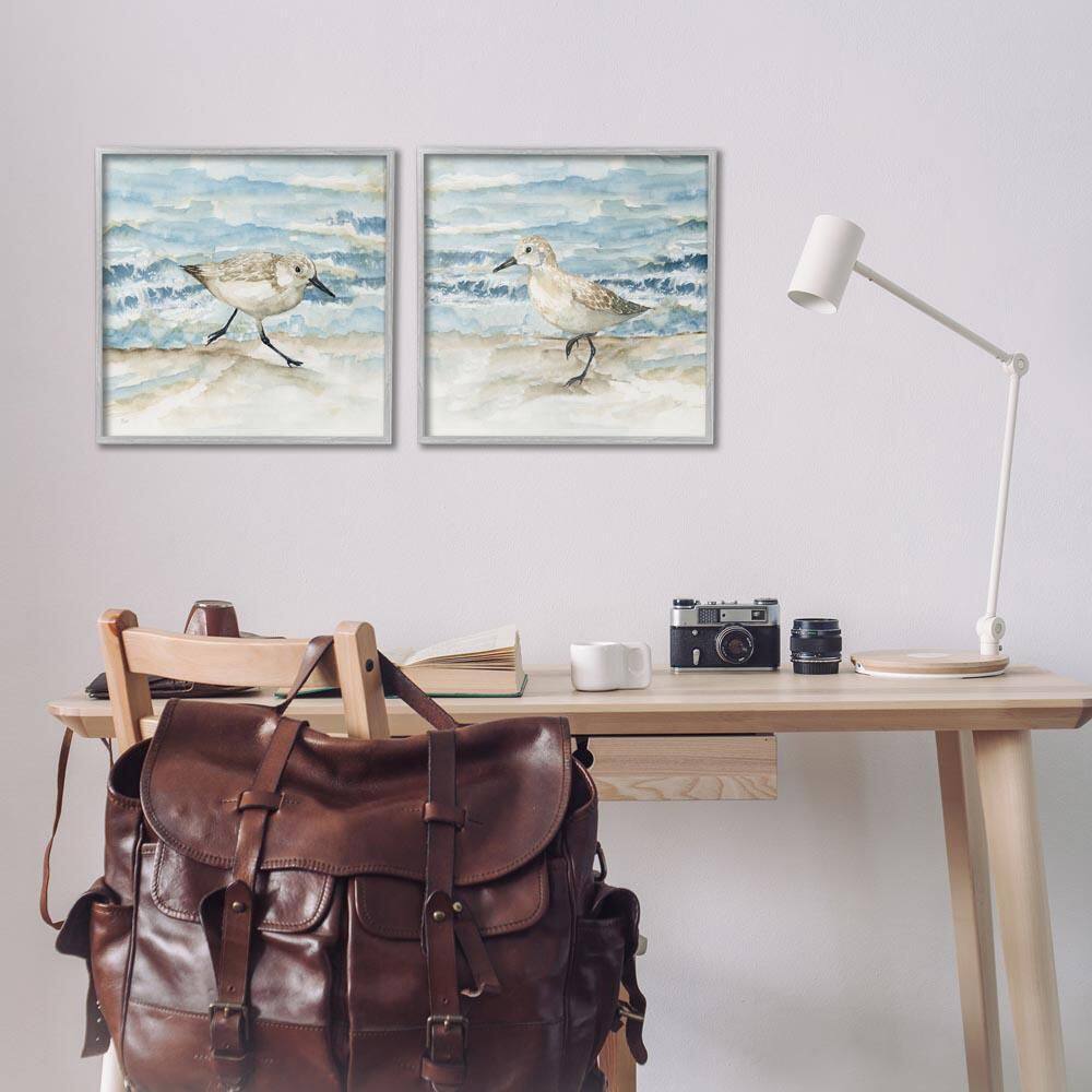 Sandpipers Treading Beach Shore by Nan 2-Piece Gray Framed Animal Giclee Art Print 17 in. x 17 in. price history on PriceWatchPro