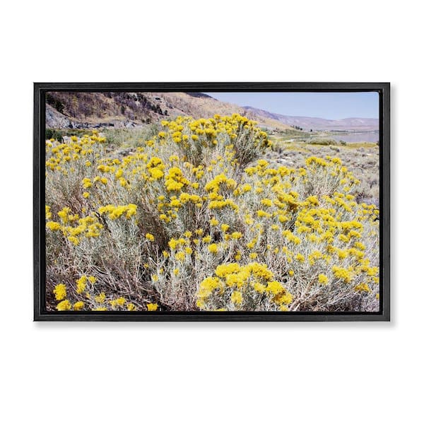 Stupell Industries Yellow Flowers in Arid Meadow by Gemma Bardot Black Floater Frame Nature Graphic Art Print 21 in. x 31 in.
