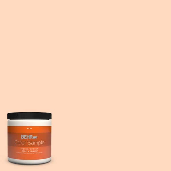 8 oz. #240A-2 Sunkissed Peach Flat Interior/Exterior Paint & Primer Color  Sample