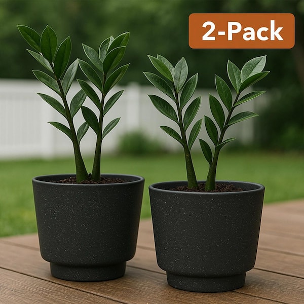 Vigoro 8 in. Dia Black Round Pedestal Planter