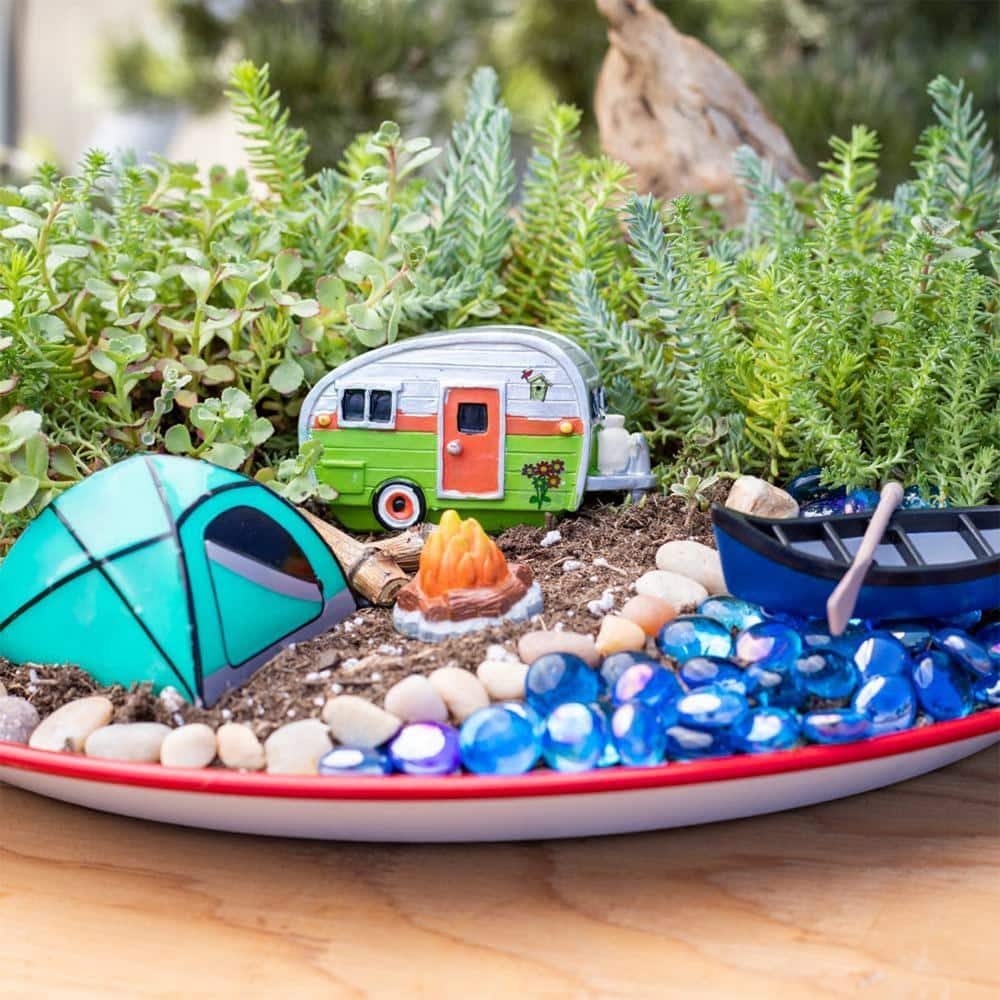 Multicolor Sedum Succulent Tray with Plastic Planter