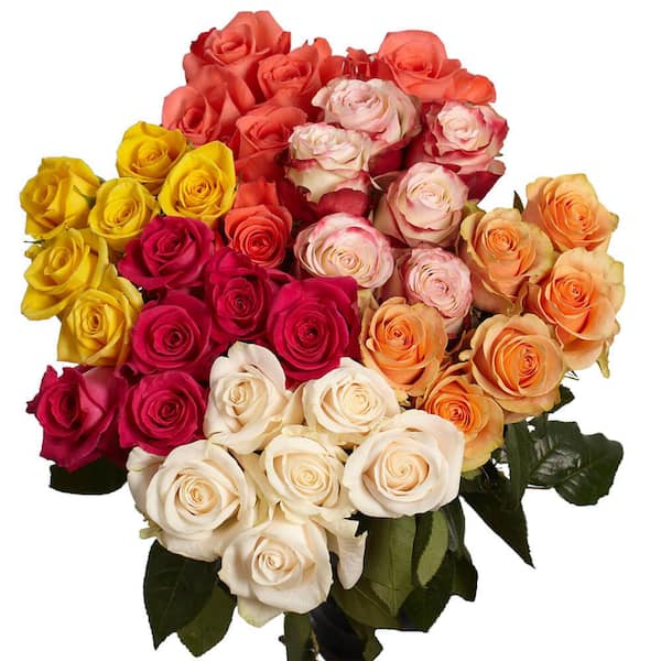 Globalrose 100 Stems - Fresh Cut Assorted Roses