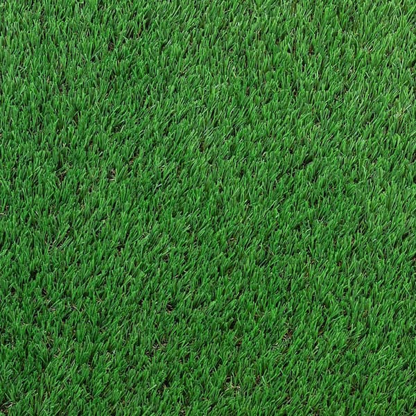 TrafficMaster Fescue Multipurpose 12 ft. Wide x Cut to Length