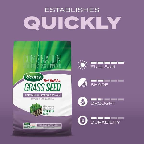 Scotts Turf Builder Perennial Ryegrass Sun or Shade Grass Seed 7 lb