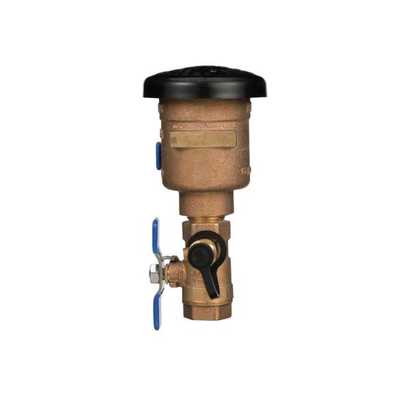 Zurn 3/4 in. Brass FIP x FIP Pressure Vacuum Breaker Backflow Preventer