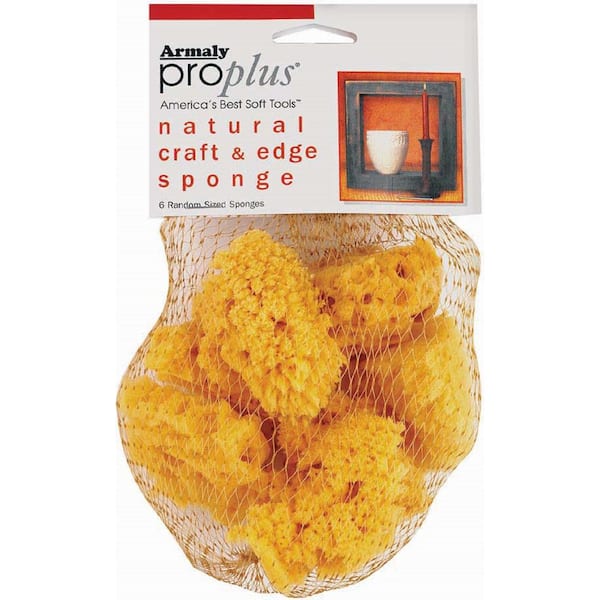 Natural Craft and Finishing Sponge 6-Count (Case of 12)