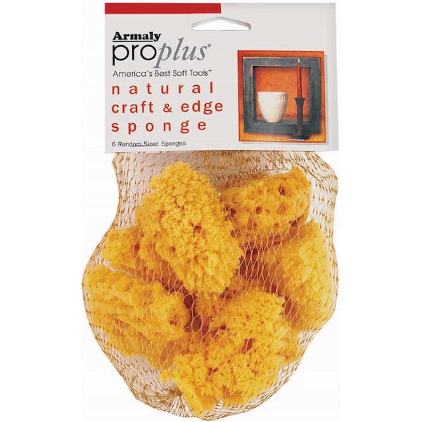 Armaly ProPlus Natural Craft and Finishing Sponge 6-Count (Case of 12)