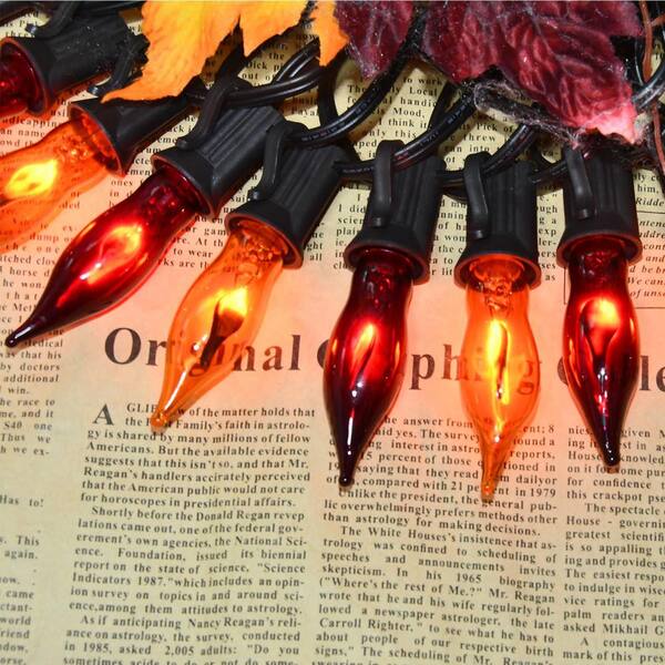 【コーウィン様用】FALLUJAH / Undying Light 12/3 SJTW String Lights with Metal Cage