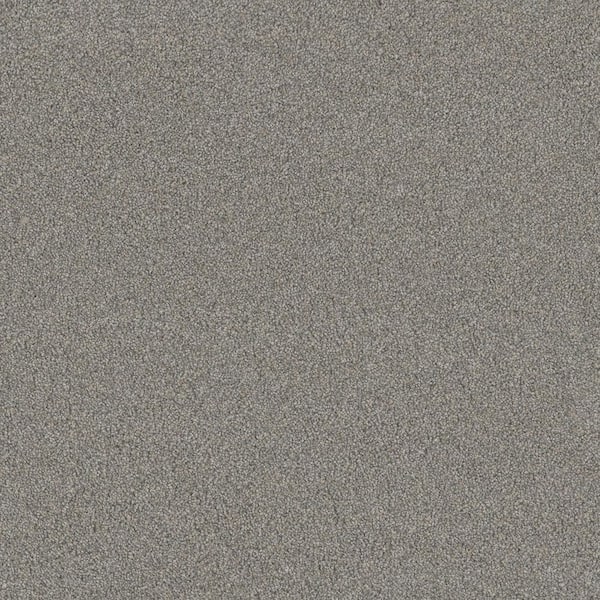 Harpstring II-Angelic Gray 75 oz. SD Polyester Texture Installed Carpet