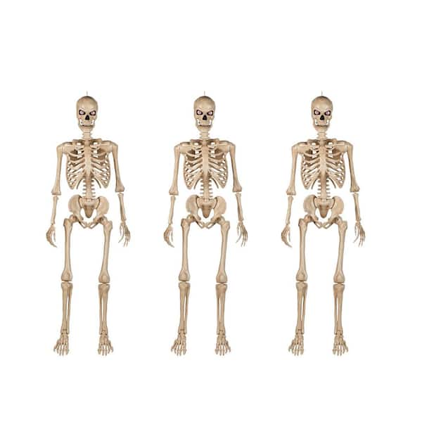 Home Accents Holiday 5 ft. Battery Operated LED Ultra Poseable Skeleton (3-Pack)