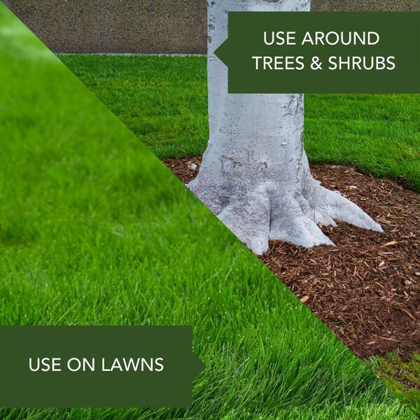 Bioadvanced 24 Hour Lawn Insect Killer 32 Oz Ready To Spray 724080a The Home Depot