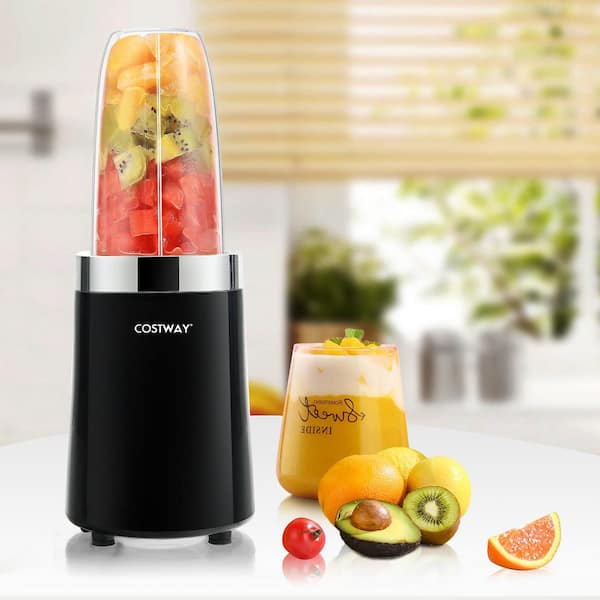 BL660 Professional Compact Smoothie & Food Puerto Rico