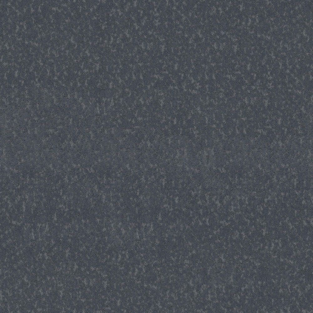 8 in. x 8 in. Pattern Carpet Sample - Pattern Plays - Color Sailor Blue price history on PriceWatchPro