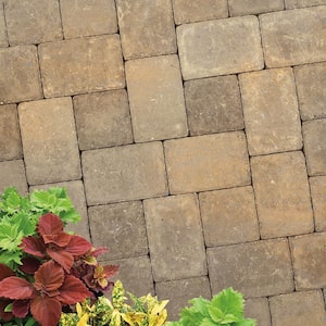 Plaza 8.27 in. L x 5.51 in. W x 2.36 in. H Rectangular Desert Blend Concrete Paver (360-Pieces/112 sq. ft./Pallet)