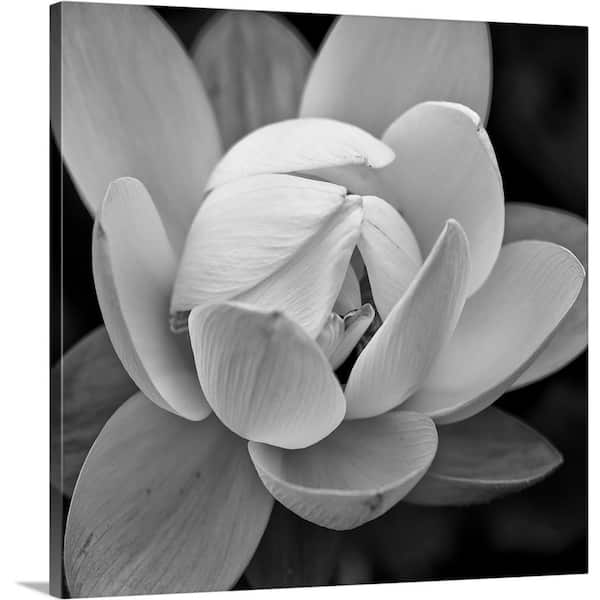 GreatBigCanvas "In Full Bloom I" by Dream On Photography Canvas Wall Art