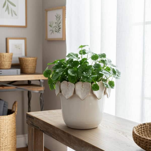 Liv & Skye Ivory Ceramic Sculpted Leaf Applique Decorative Planter