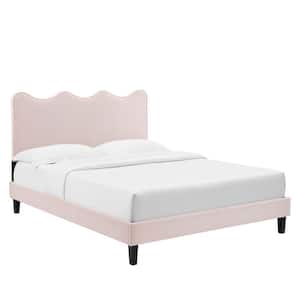 Current Performance Velvet Queen Platform Bed in Pink with Black Wood Legs