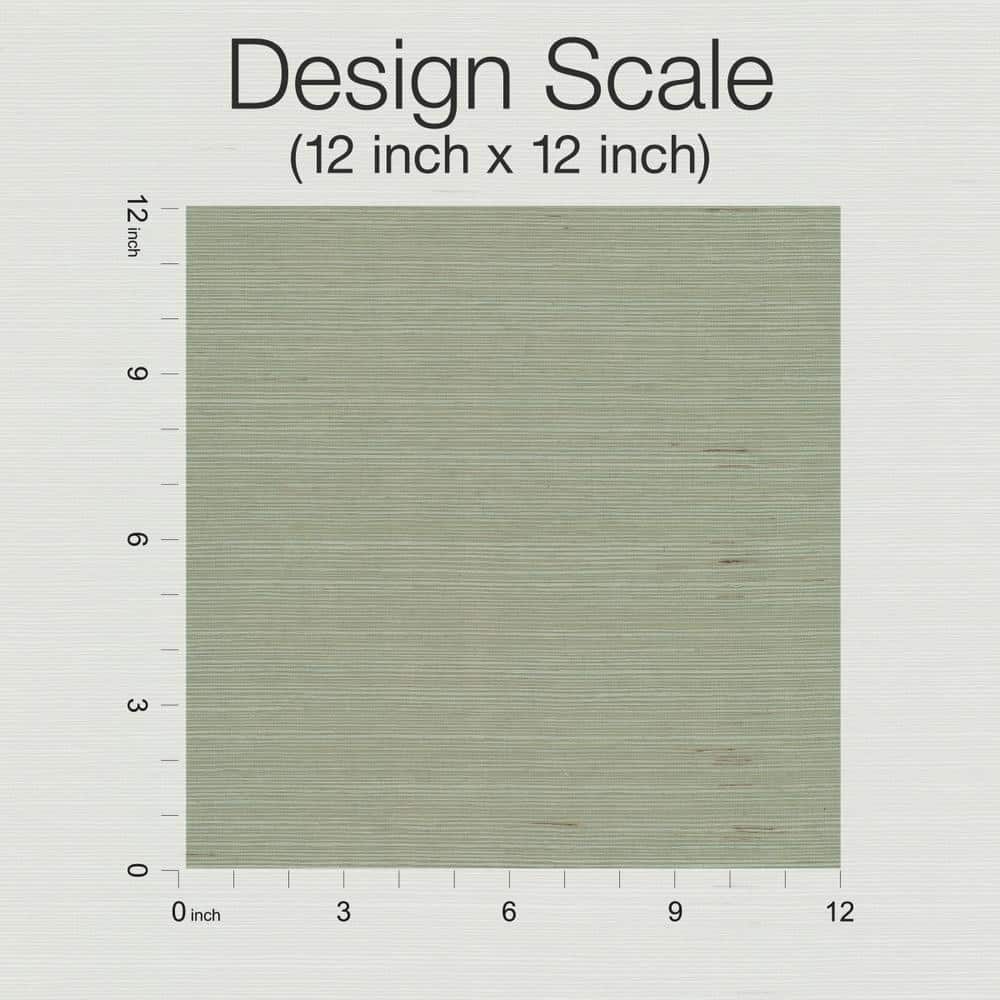 Spa Green Removable Grasscloth Wallpaper Double Roll