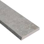 Brixstyle Gris Bullnose 2.4 in. x 24 in. Matte Porcelain Wall Tile (24 lin. ft. / case)