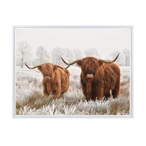 Highland Cattle Framed Canvas Wall Art - 24 in. x 16 in. Size, by Kelly Merkur 1 -piece White Frame