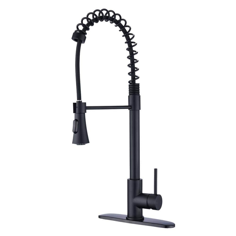 Single-Handle Pull-Down Sprayer Kitchen Faucet in Matte Black -  PROOX, PR-D0674-MB