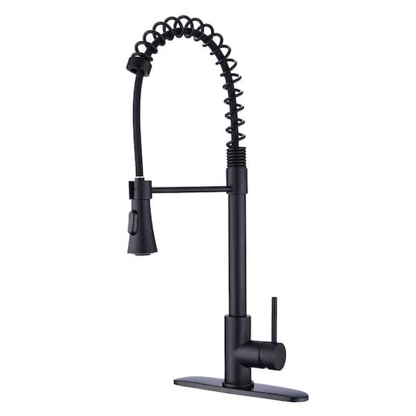 PROOX Single-Handle Pull-Down Sprayer Kitchen Faucet in Matte Black
