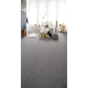 Misty Meadows II- Hudson Gray - 60 oz. SD Polyester Texture Installed Carpet