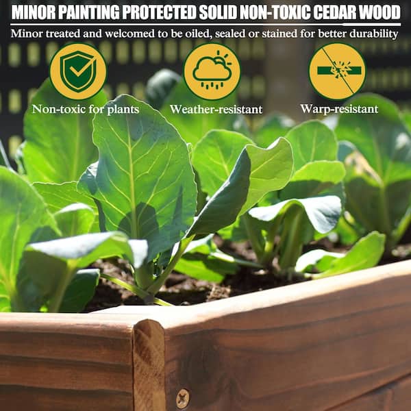 70.8 in. W x 31 in. D x 29 in. H Oversized Cedar Wooden Raised Garden Bed with Liner, Carbonized