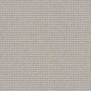 Abstract Joy Duncan Gray 38 oz Nylon Pattern Installed Carpet