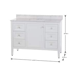 Darcy 49 in. W x 22 in. D x 39 in. H Single Sink Freestanding Bath Vanity in White with Lunar Cultured Marble Top