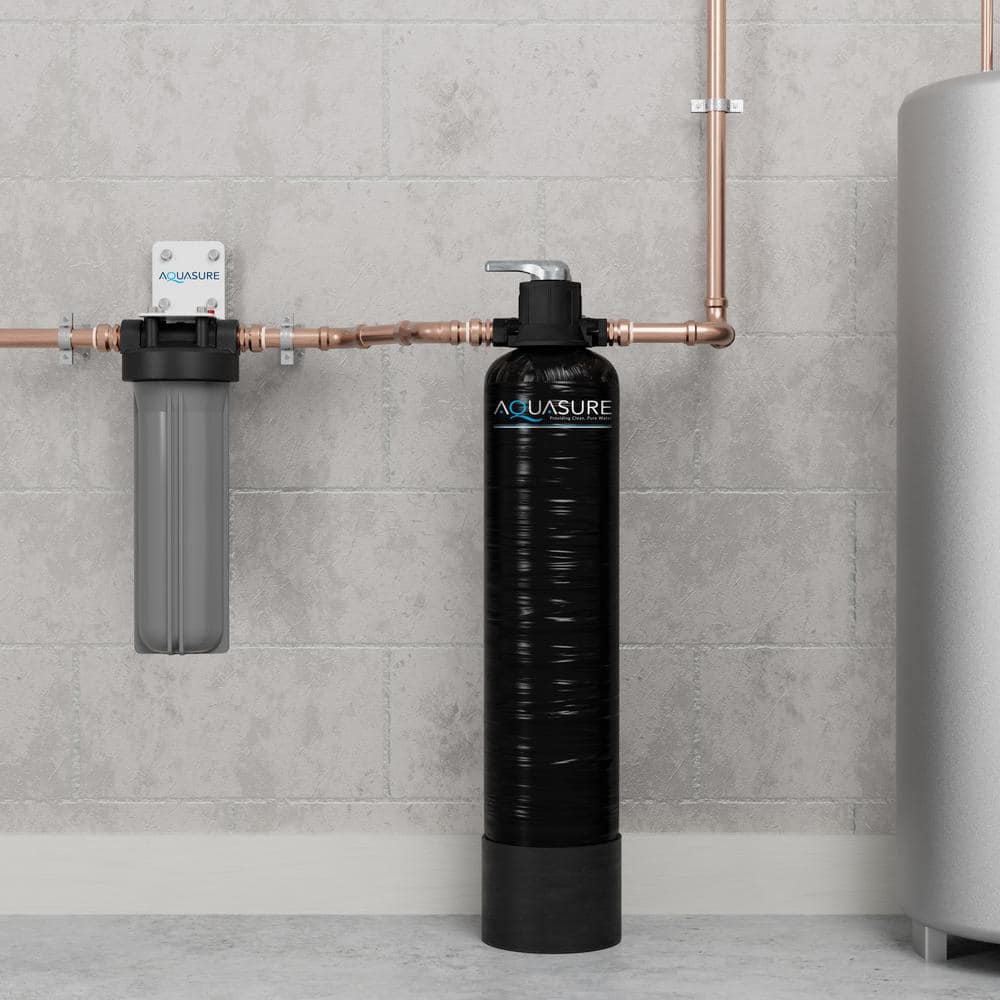 Fortitude Lite Black Whole House Water Filtration System