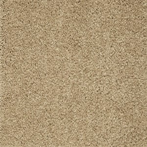 8 in. x 8 in. Texture Carpet Sample - Appreciate II - Color Sharkfin