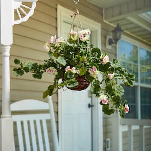 Light Pink Artificial Geranium Flower Arrangement with Hanging Basket