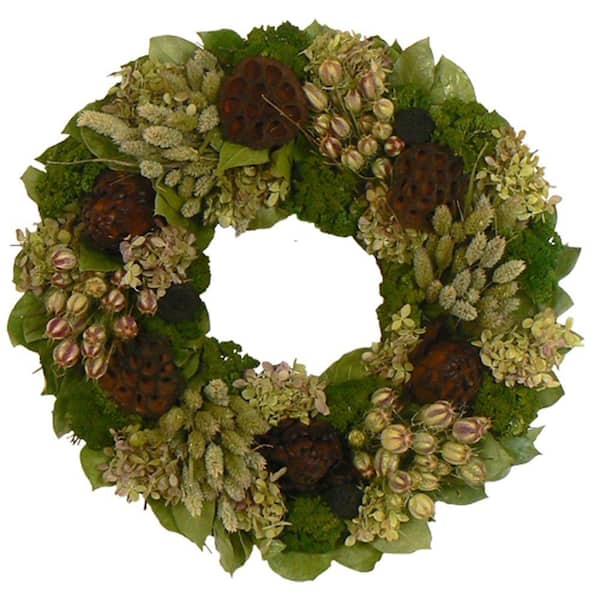 The Christmas Tree Company Lotus Lagoon 18 in. Dried Floral Wreath-DISCONTINUED