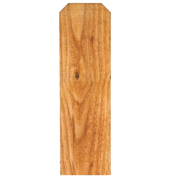 Alta Forest Products 3/4 in. x 5-1/2 in. x 6 ft. Cedar-Tone Oil Whitewood Dog-Ear Fence Picket