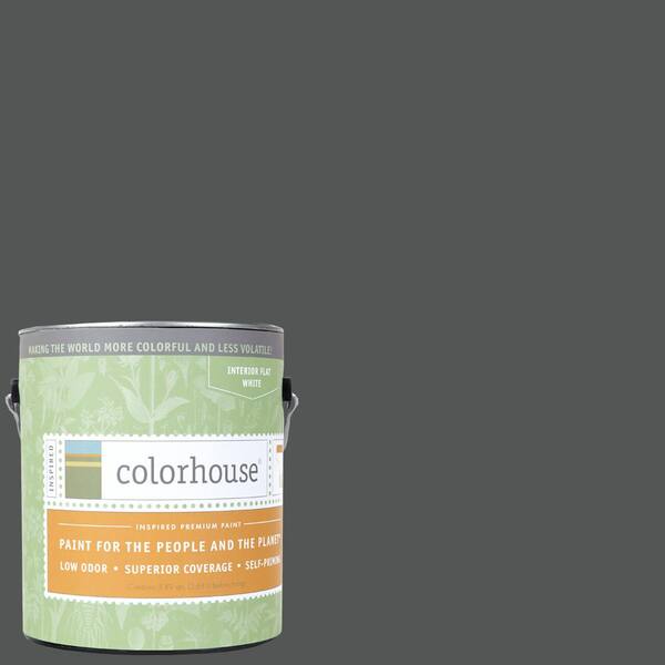 Colorhouse 1 gal. Metal .05 Flat Interior Paint