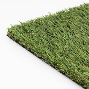 TruGrass Clover Fescue 12 ft. Wide x Cut to Length Green Artificial Grass Turf